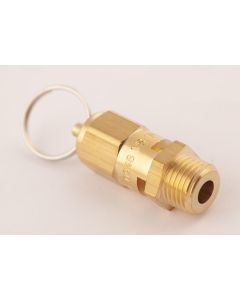 1/4" 1bar safety valve