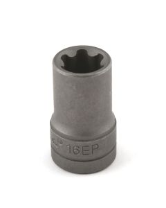 Torx Plus Hülse EP16 3/8"