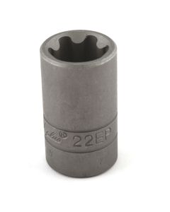 Torx Plus Hülse EP22 1/2"