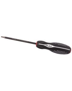 Torx-Diamant-Schraube T15x100