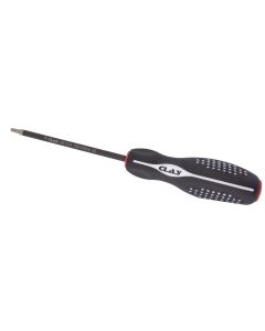 Torx-Diamant-Schraube T20x100