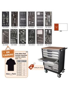 Servante 7 tiroirs + 219 outils