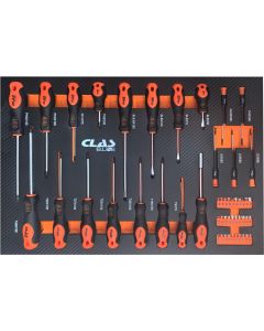 SCREWDRIVER INSERT (51PCS)