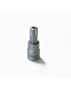 HÜLSE TORX BITS BOHRER T55 3/8"