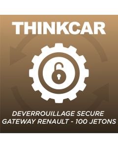 Seguridad pasarela Renault 100 tokens