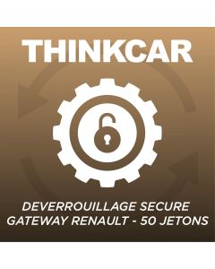 Seguridad pasarela Renault 50 tokens